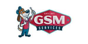 GSM