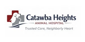 Catawba Heights