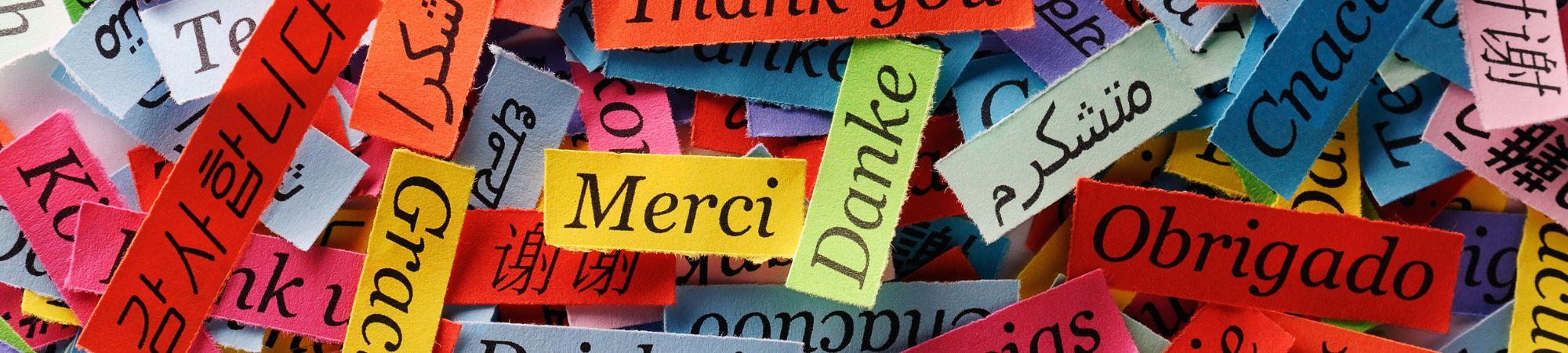 Donor Appreciation Week