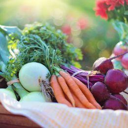 Embrace Autumn's Bounty: October's Seasonal Produce